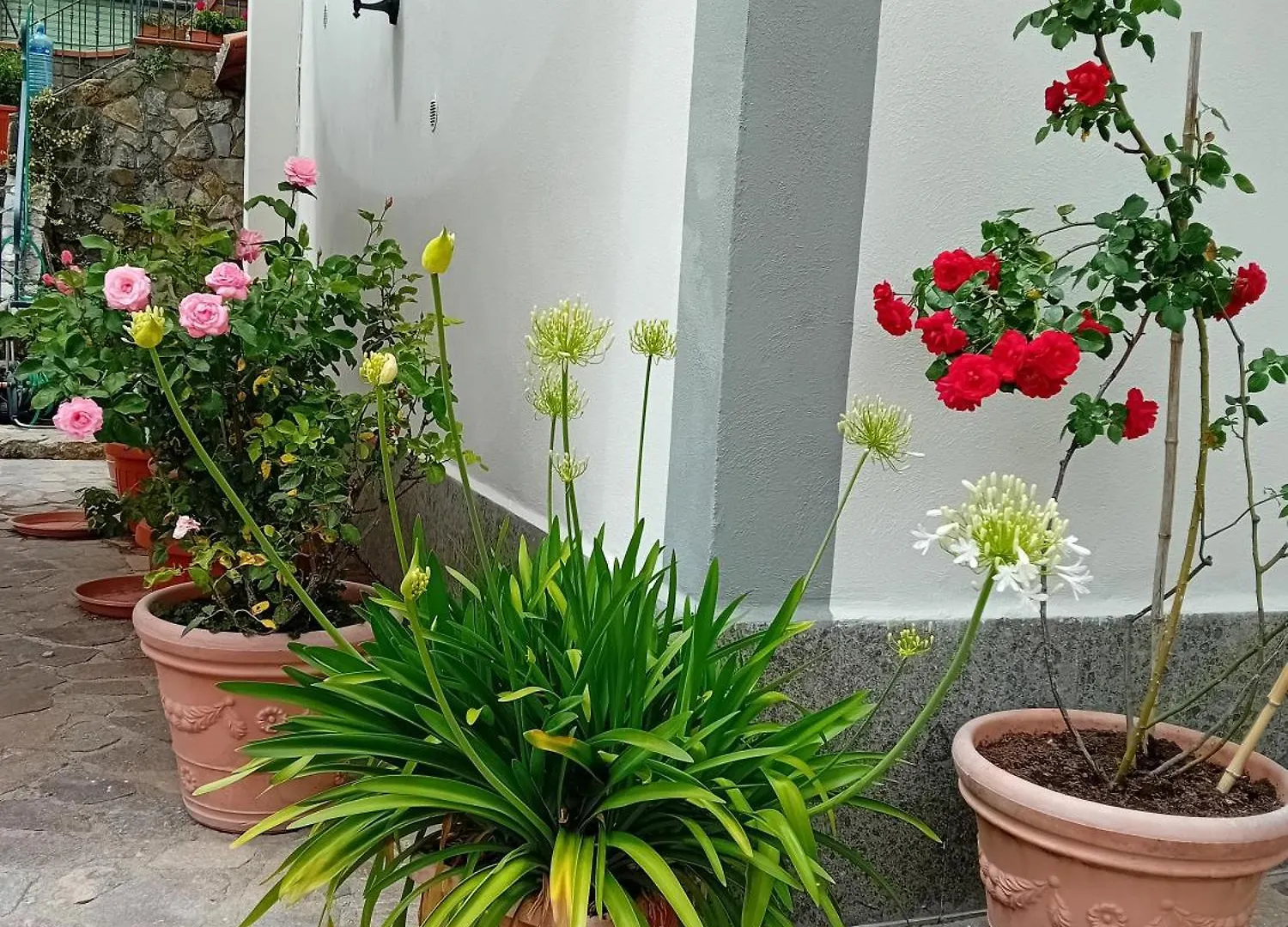 Apartment Appartamento Casa Rita - Sorano San Giovanni delle Contee Italy